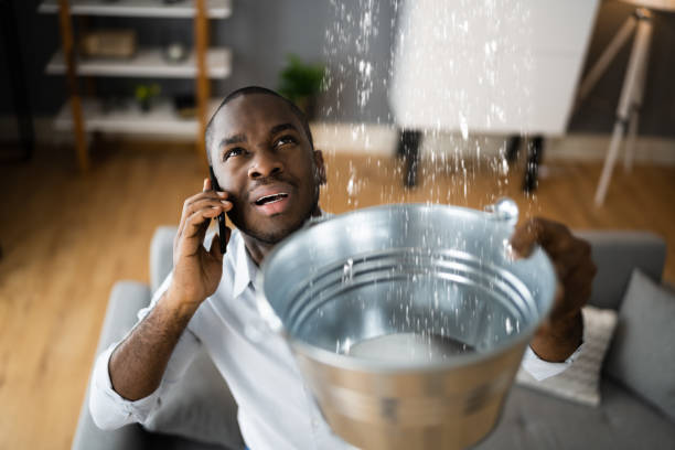 Best Professional water damage repair  in Red Hill, PA