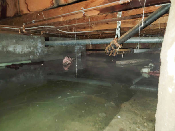 Best Flooded house restoration  in Red Hill, PA