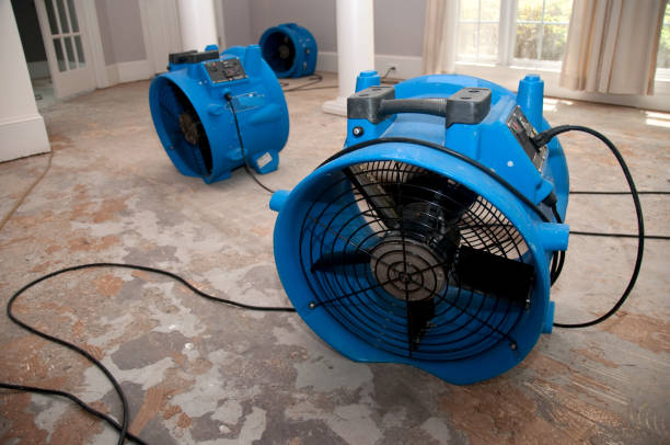 Best Ceiling water damage repair  in Red Hill, PA