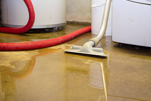 Best Flood restoration services  in Red Hill, PA