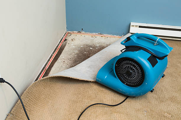 Best Water damage contractors near me  in Red Hill, PA